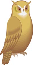 owl