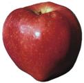 Red Delicious apple