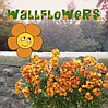 icon for the Wallflowers' faction