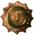 police badge