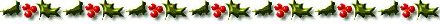 holly divider bar
