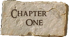 Chapter One