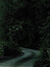 English country lane at night