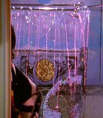 Tracy's shower curtain