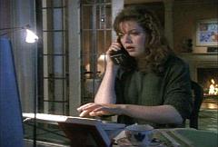 the dining room table