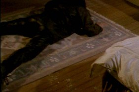 the rug beside the bed