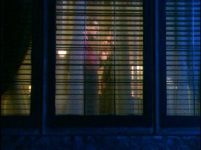 the picture window in Natalie's living room, seen from outside the building