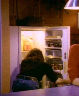 the double-doored cupboard just inside the kitchen